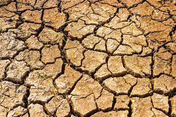 Cracks in the dried soil in arid season