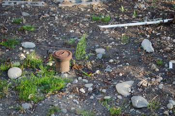 土から突き出た管