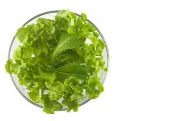 fresh spring green salad in glass bowl on isolate background