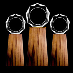 three blank crystal trophy on wood base