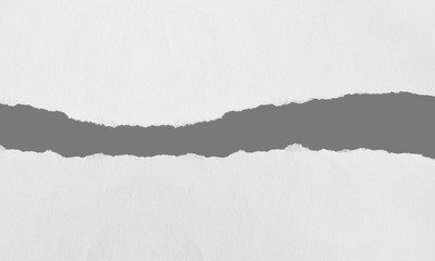 Torn paper, isolated on white background.