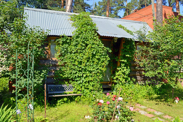Небольшой летний загородный дом в тени садовых деревьев © Alexander Zamaraev