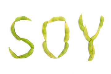 soy with soybeans