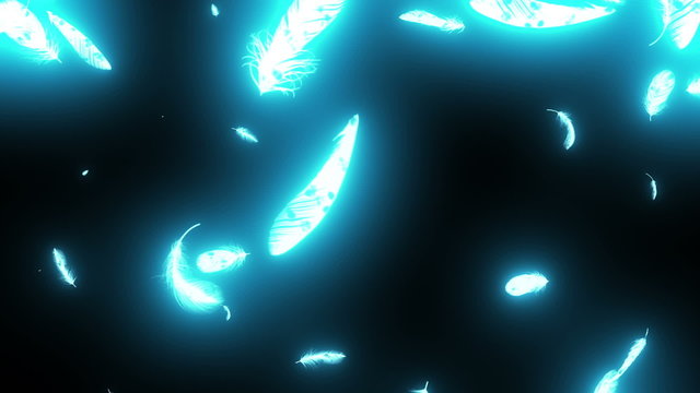 舞い落ちる羽 falling feathers
