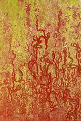 Red paint rusty metal plate gold particle surface oxidized