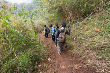 Unidentified Tourism walking in Meadow forest