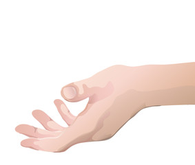 hand illustration 
