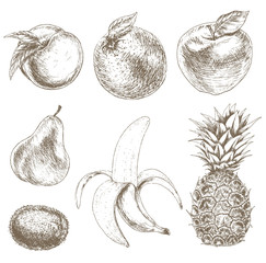 Sketch of fruit