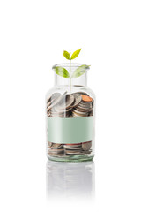 coins in jar with  empty space for text , plant grow up