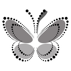 Vector illustration of insect, decorative butterfly with dots in grey colors, isolated on the white background