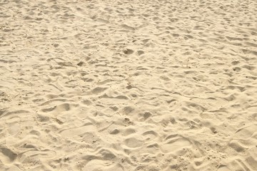 Sand Texture