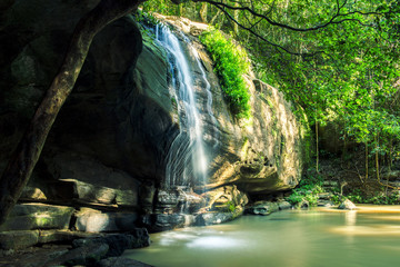 Obraz premium Serenity Falls in Buderim, Sunshine Coast, Australia. Located in the Buderim Forest waterfall walk.