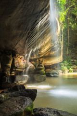Fototapeta premium Serenity Falls w Buderim, Sunshine Coast, Australia. Znajduje się na spacer po wodospadzie Buderim Forest.