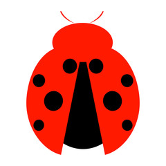 Vector illustration of insect. Icon of simple black and red ladybug, isolated over white background