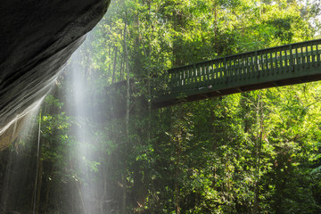Fototapeta premium Serenity Falls in Buderim, Sunshine Coast, Australia. Located in the Buderim Forest waterfall walk.
