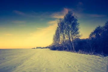 Foto op Canvas Vintage landscape of winter field © milosz_g