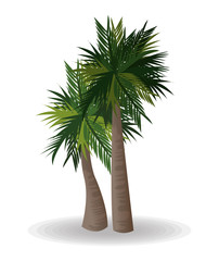 Obraz premium Tropical icon design 