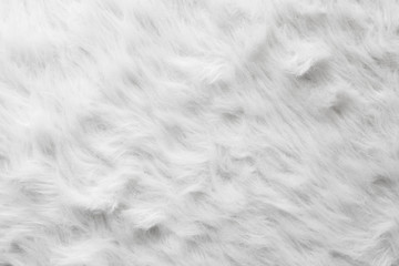 Sheep wool fur background texture wallpaper.
