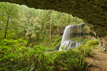 Middle North Falls, Silver Falls State Park