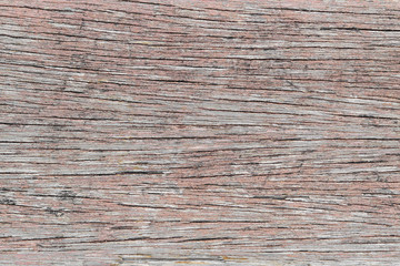 Fototapeta premium Closeup wood texture
