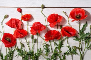 Fototapeta na wymiar beautiful red poppies on old white wooden table