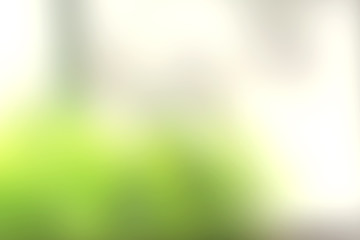 Blurry green background in the spring