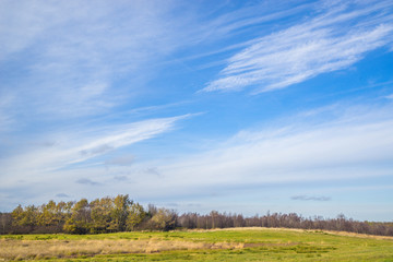 Fototapeta na wymiar Denmark landscape with fields and trees