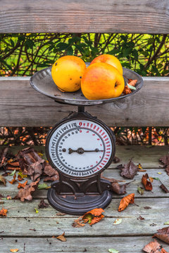 Old weight with yellow apples