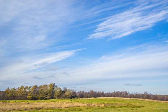 Denmark landscape with fields and trees