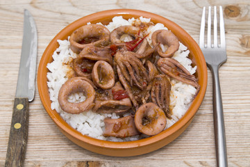 squid casserole with rice isolated.