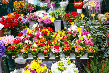  flowers for sale at a Italian flower market in Rome