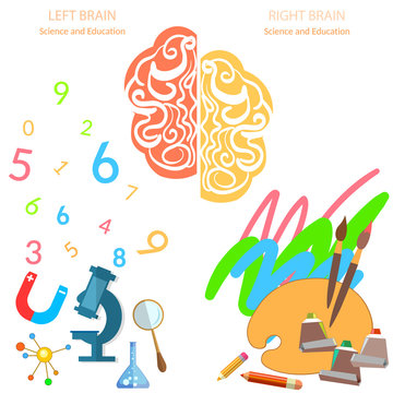 Left and right side of the brain logic and creativity
