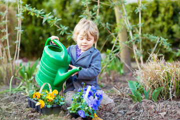 Little boy gardening and planting flowers in garden