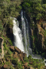 waterfall Iguacu Falls in Brazil and Argentina