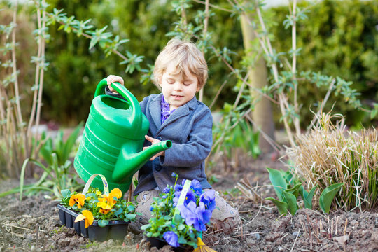 Little Boy Gardening And Planting Flowers In Garden