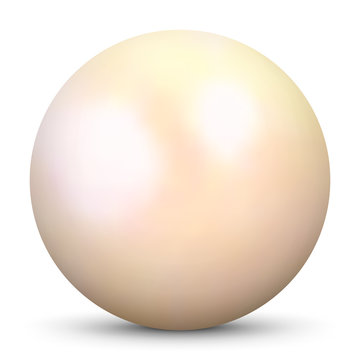Sch&ouml;ne, cremefarbene 3D Vektor Perle isoliert auf wei&szlig;em Hintergrund. Designelement f&uuml;r Beauty, Wellness und Spa Design. Zuchtperle, Muschelperle, Austernperle.