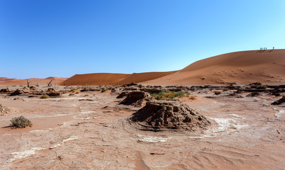 Dune in Hidden Vlei in Namib desert