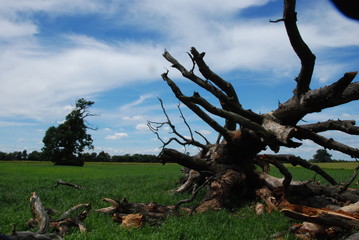 Dolina Warty Śmieł&oacute;w