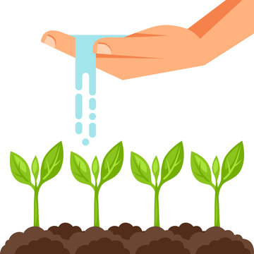 Illustration of watering plants from hand. Image for advertising booklets, banners, flayers and articles