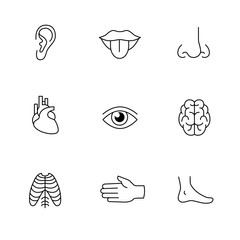 Fototapeta premium Medical icons thin line art set. Human organs