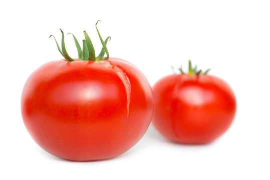 Two red fresh tomatoes