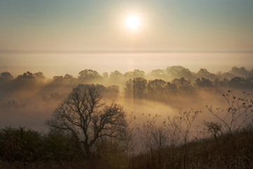 nature, mist and sunlight