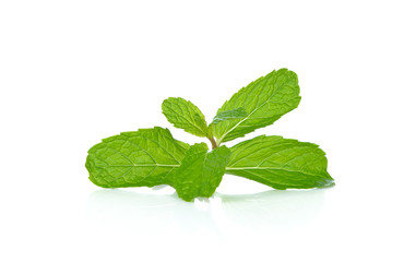 mint leaves isolated on white background
