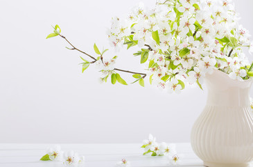 spring white flowers on white background