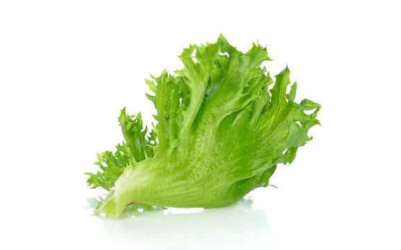 Green lettuce isolated on the white background