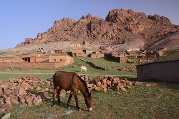 Fototapeta na wymiar Bergerie d'altitude près du massif du Siroua dans les montagnes de l'Atlas – Maroc