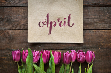 Pink, tulips bunch on dark barn wood planks background. Space fo