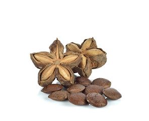 selective focus on seed of sacha inchi,sacha mani or star inca p
