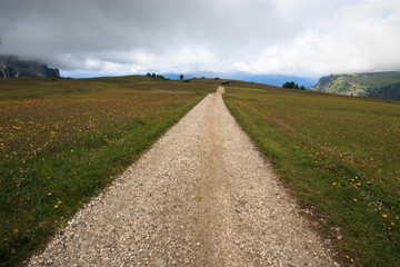 Fototapeta na wymiar sentiero sull'Alpe di Siusi (Alto adige)