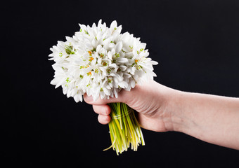 snowdrop bouquet hold hand